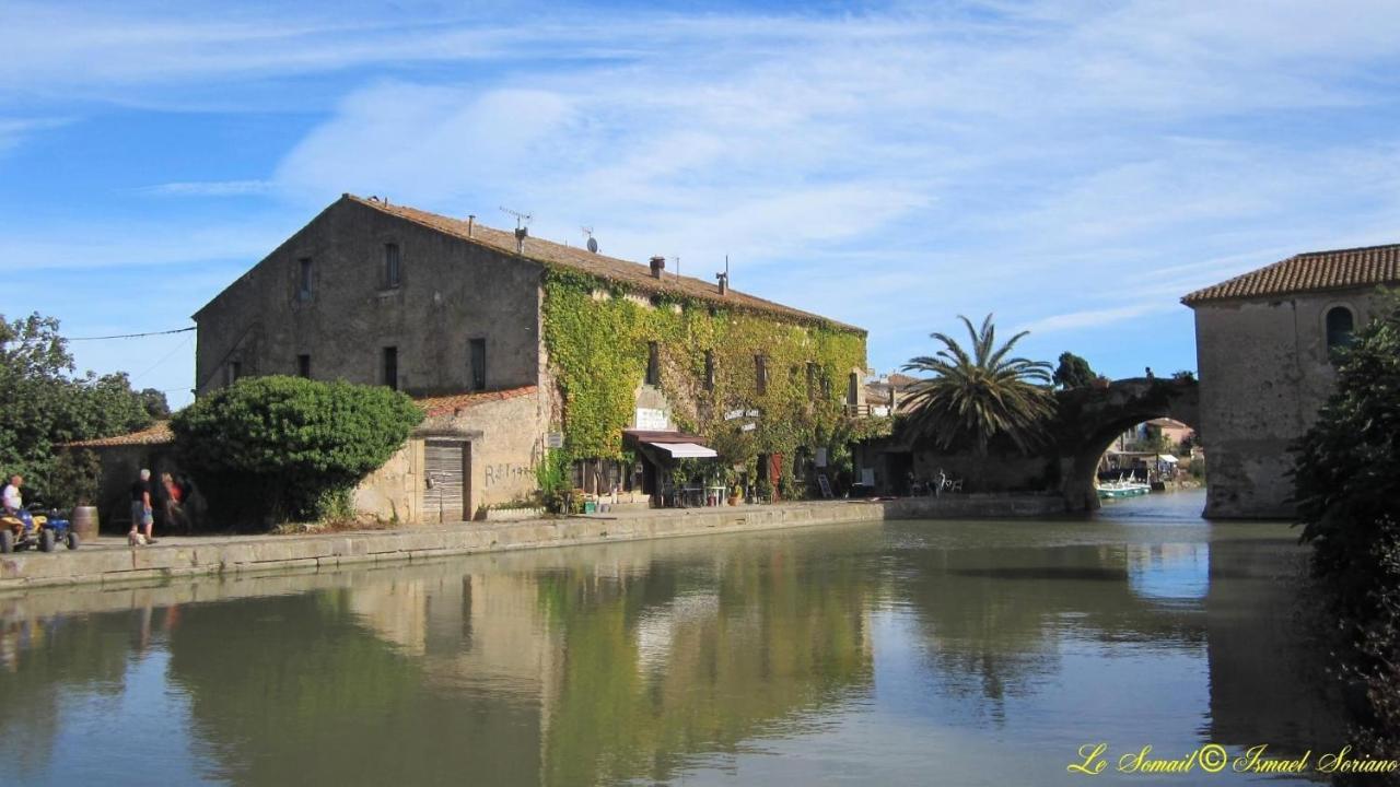 Le Cozy Center Wi-Fi Prest'Immo Apartment Narbonne Bagian luar foto